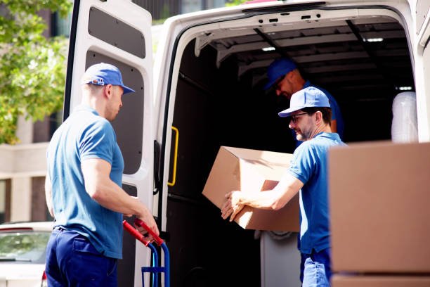 movers in dubai